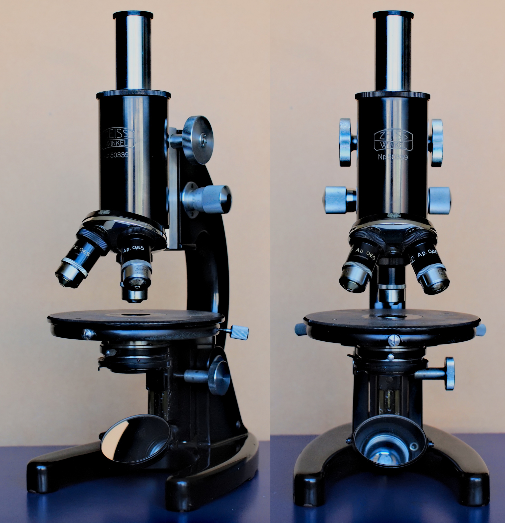 Zeiss-Winkel Stativ B | Microscopy of Nature Zeiss-Winkel Stativ B | Microscopy of Nature